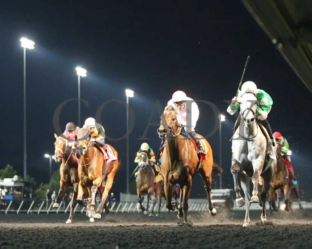 Roses For Debra - The Presque Isle Masters Stakes G2 09-20-24 R09 Pid Under Rail Downs