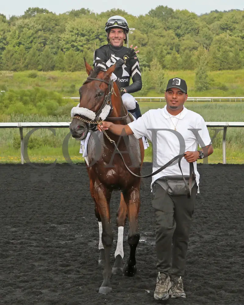 Rosie’s Alibi - The Princess Of Sylmar Stakes 14Th Running 07-29-24 R07 Pid Comeback Presque Isle