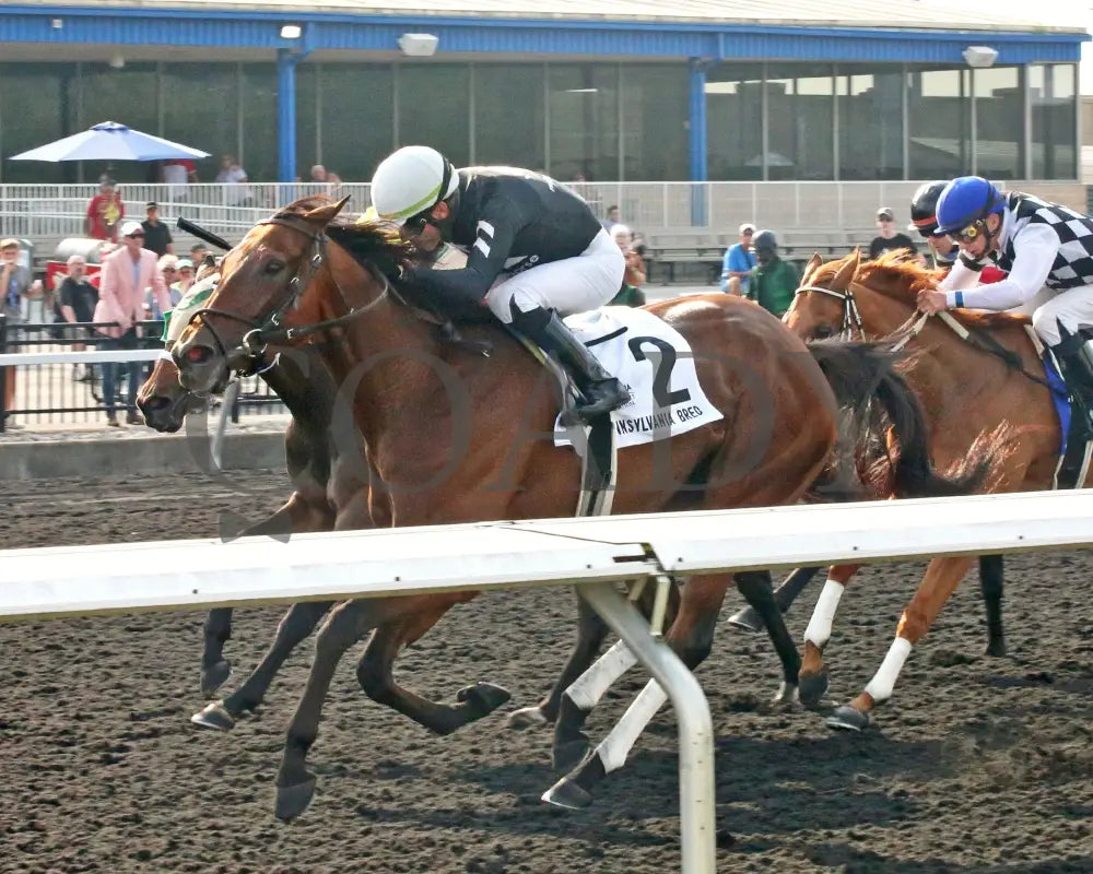 Rosie’s Alibi - The Princess Of Sylmar Stakes 14Th Running 07-29-24 R07 Pid Inside Finish Presque