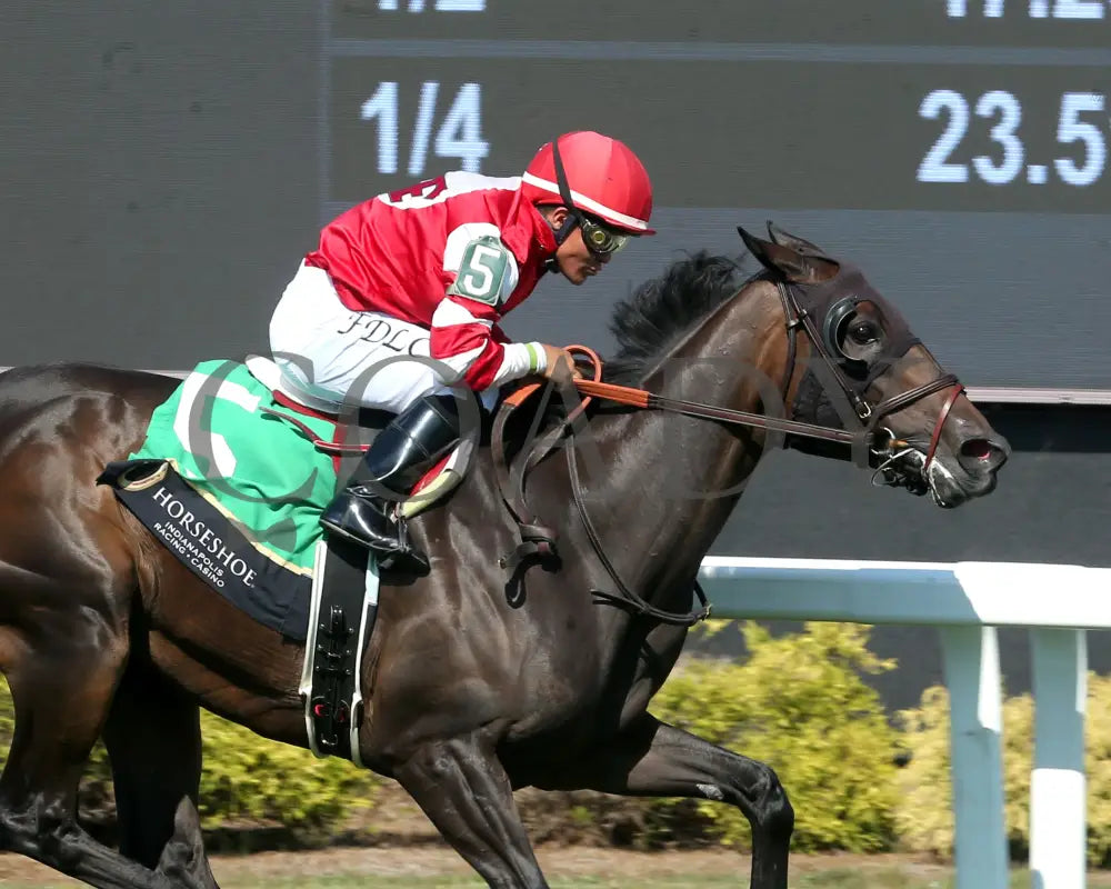 ROYAL JUSTICE - The Ellen Lucky Star - 07-05-25 - R10 - Horseshoe Indiana - Tight Finish 01 - Eli Davis - Coady Media - Kurtis Coady Photography