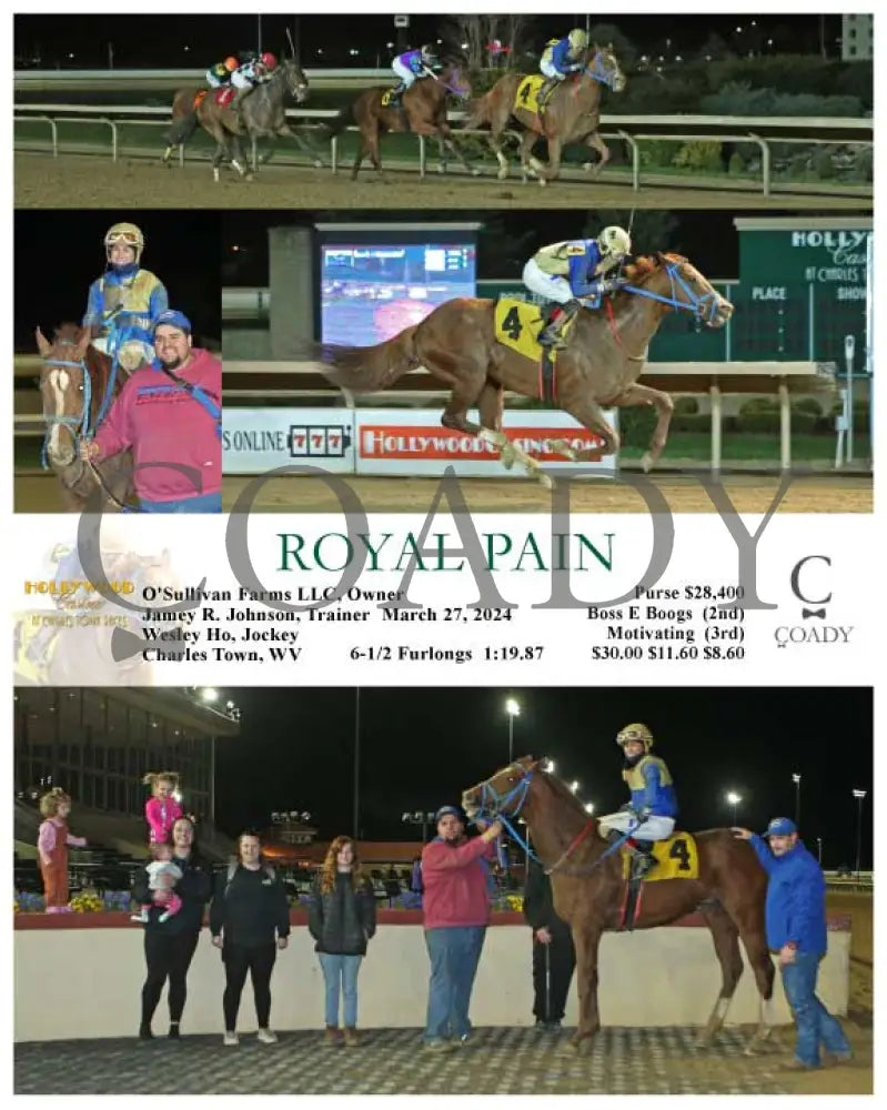 Royal Pain - 03 - 27 - 24 R06 Ct Hollywood Casino At Charles Town Races