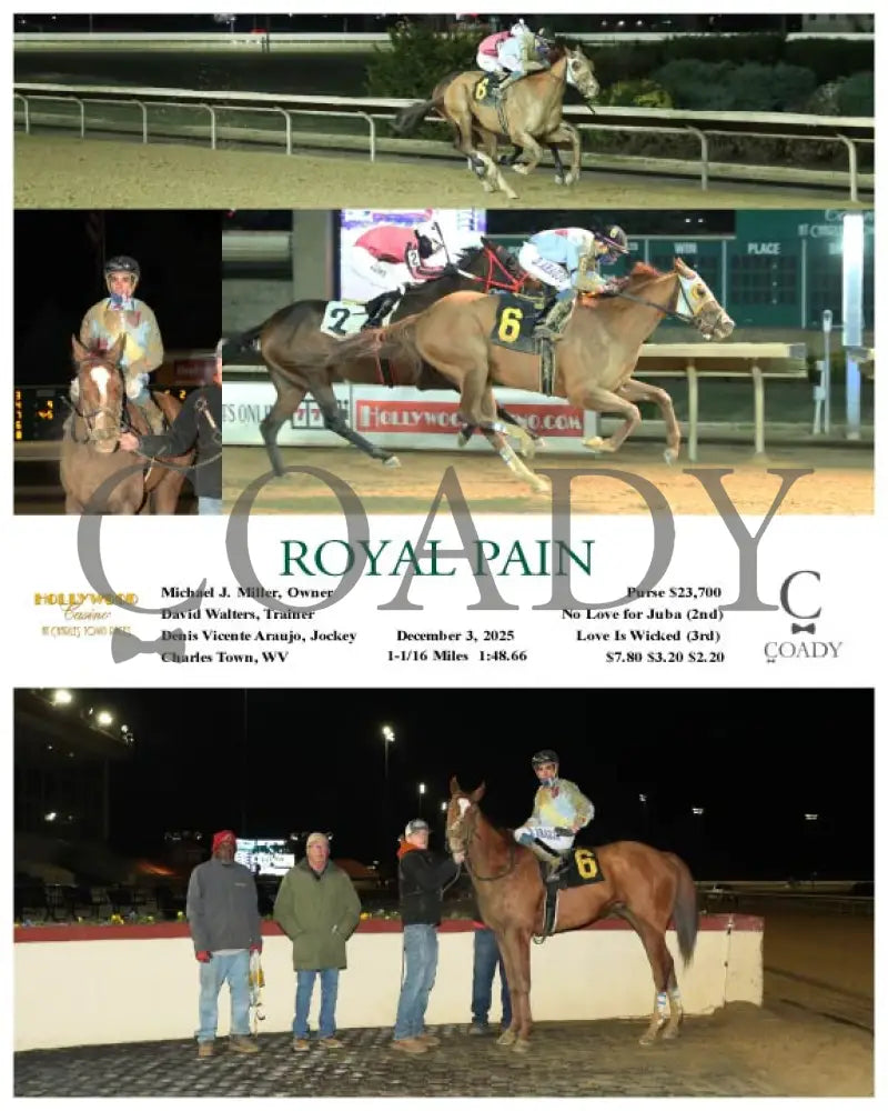 ROYAL PAIN - 12-03-25 - R02 - CT Hollywood Casino at Charles Town Races