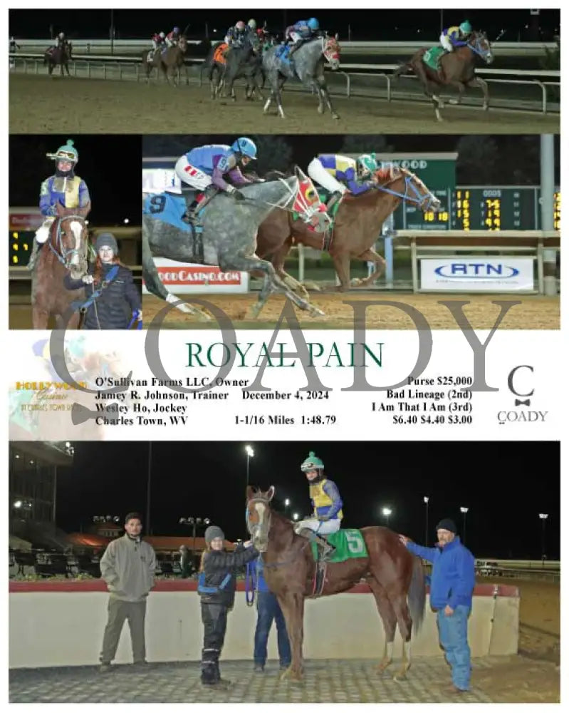 Royal Pain - 12-04-24 R07 Ct Hollywood Casino At Charles Town Races
