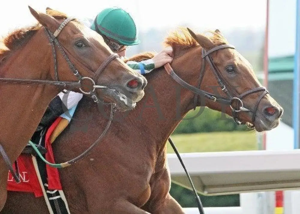 Run A Risk - 2 102111 Race 07 Keeneland