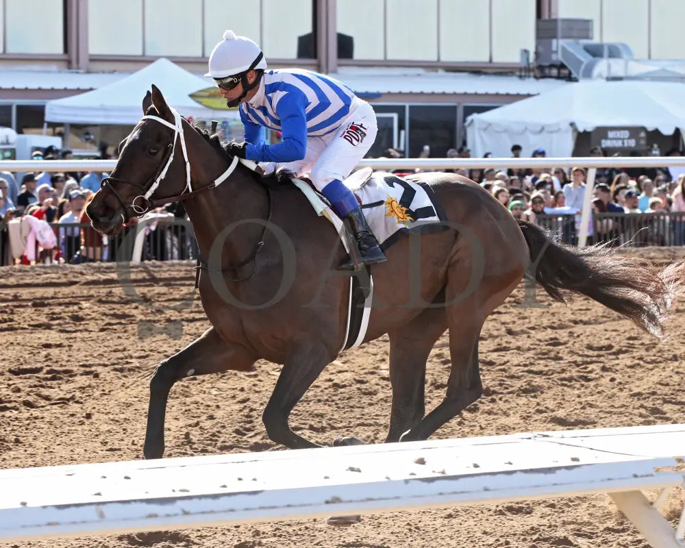 RUNNIN N GUNNIN - Sunland Park Oaks - 22nd Running - 02-16-25 - R07 - Sunland Park - Inside Finish 2 Turfway Park