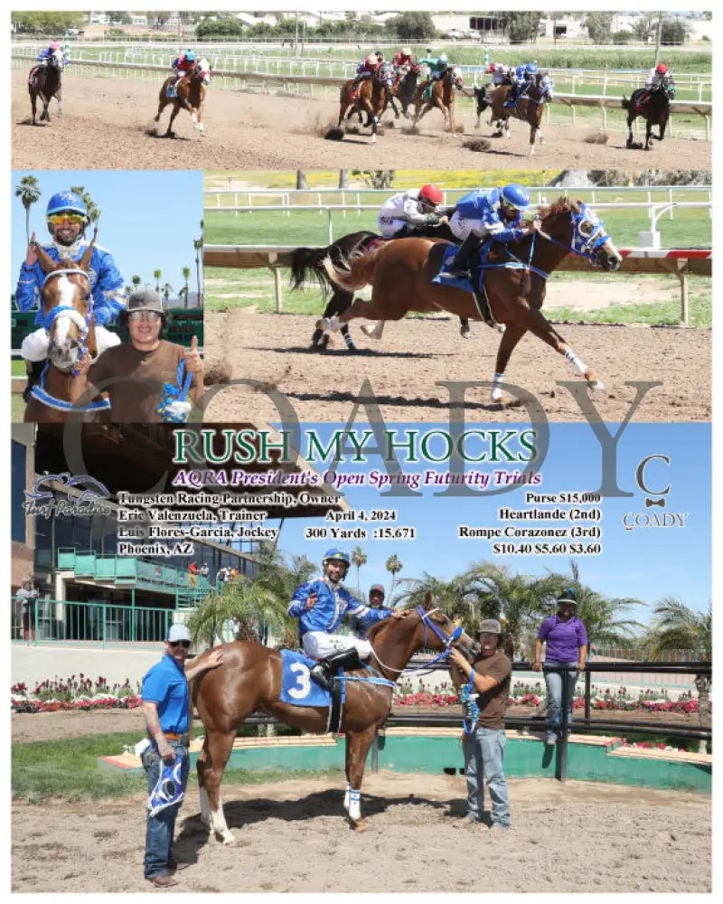 Rush My Hocks - Aqra President’s Open Spring Futurity Trials 04 - 04 - 24 R02 Tup Turf Paradise