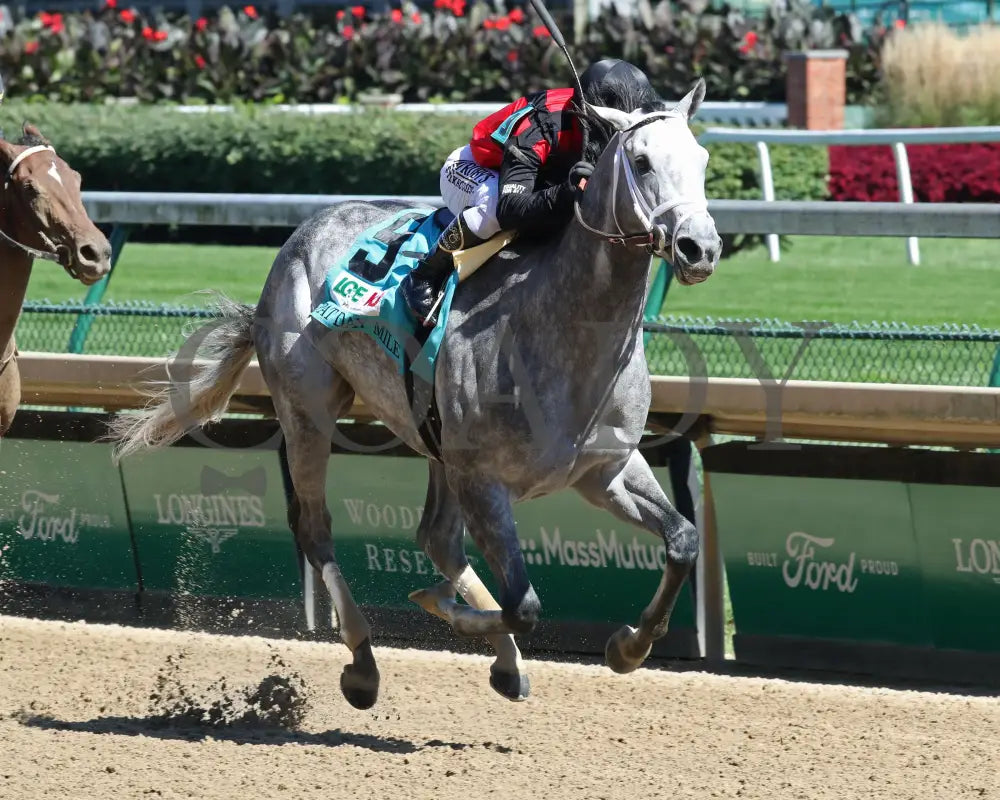 Rushie - Pat Day Mile G2 96Th Running 09-05-20 R09 Cd Finish 02 Churchill Downs