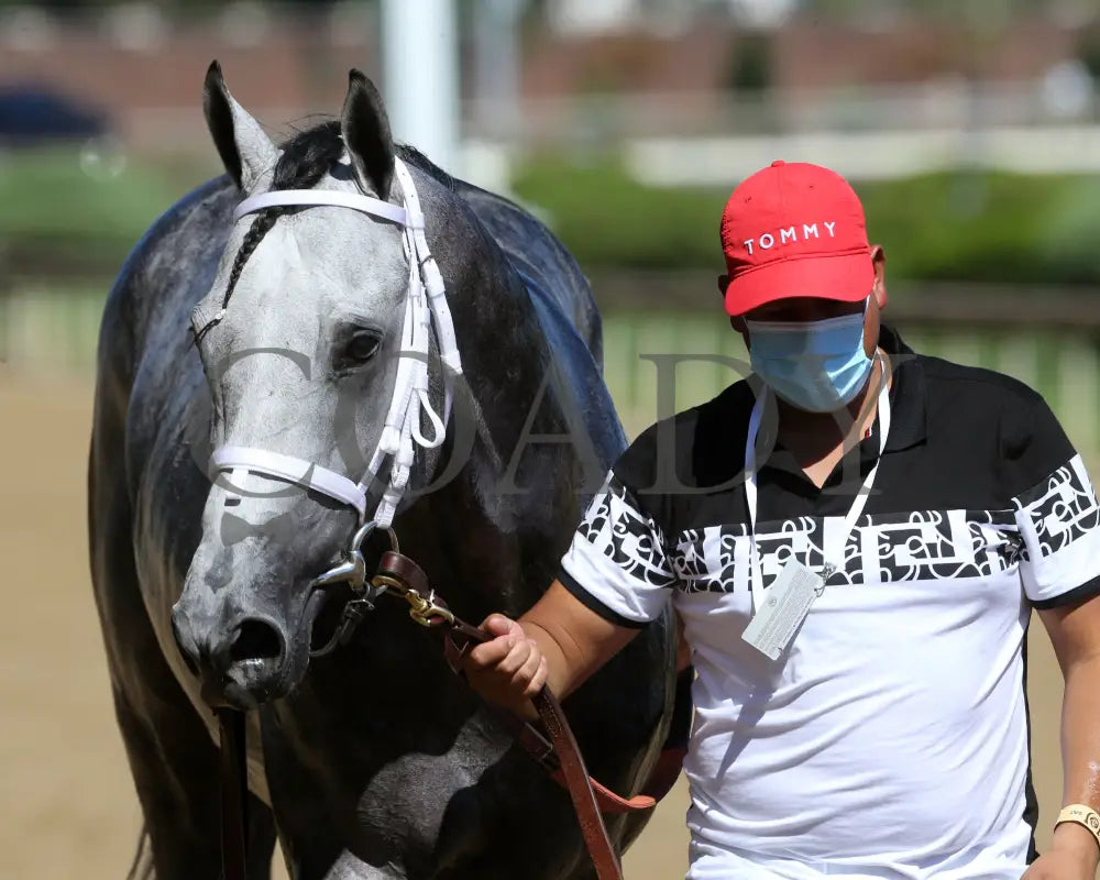 Rushie - Pat Day Mile G2 96Th Running 09-05-20 R09 Cd Walk Back 01 Churchill Downs