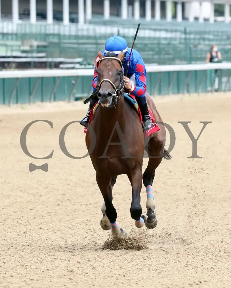 Ry’s The Guy - Champions Day Marathon Overnight Stakes 2Nd Running 09-01-20 R04 Cd Inside Finish