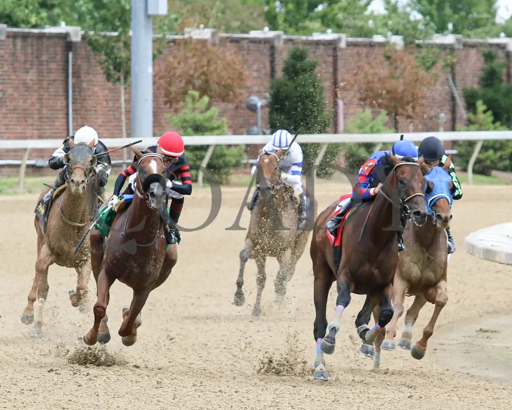 Ry’s The Guy - Champions Day Marathon Overnight Stakes 2Nd Running 09-01-20 R04 Cd Turn 01