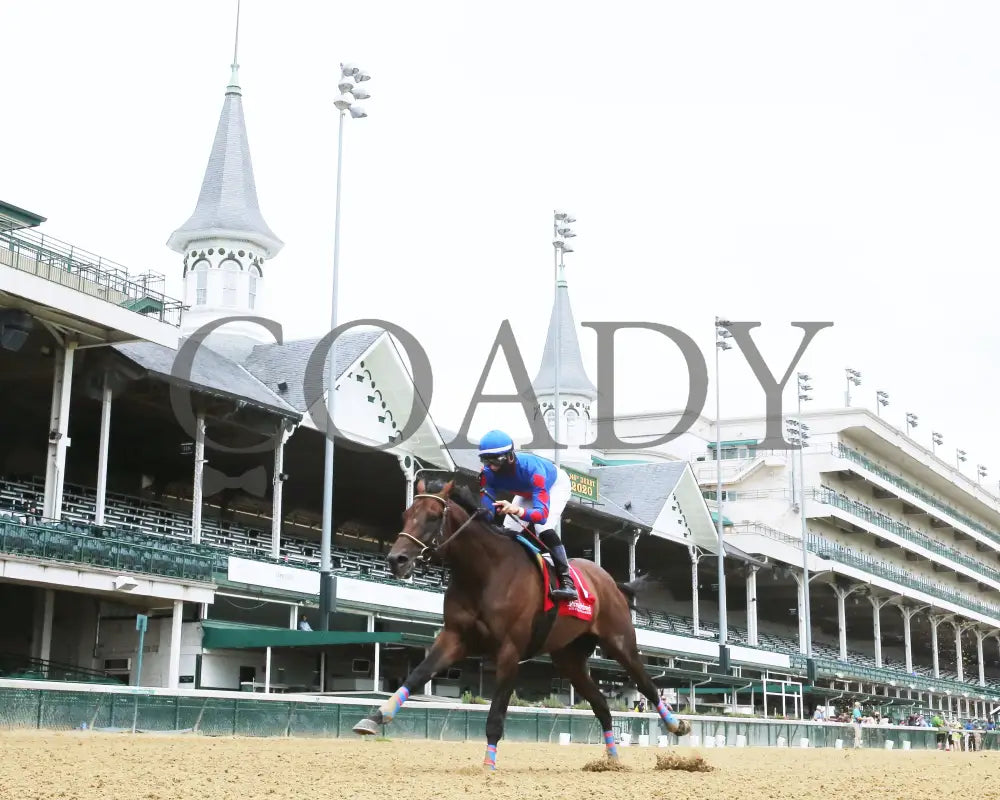 Ry’s The Guy - Champions Day Marathon Overnight Stakes 2Nd Running 09-01-20 R04 Cd Under Rail 01