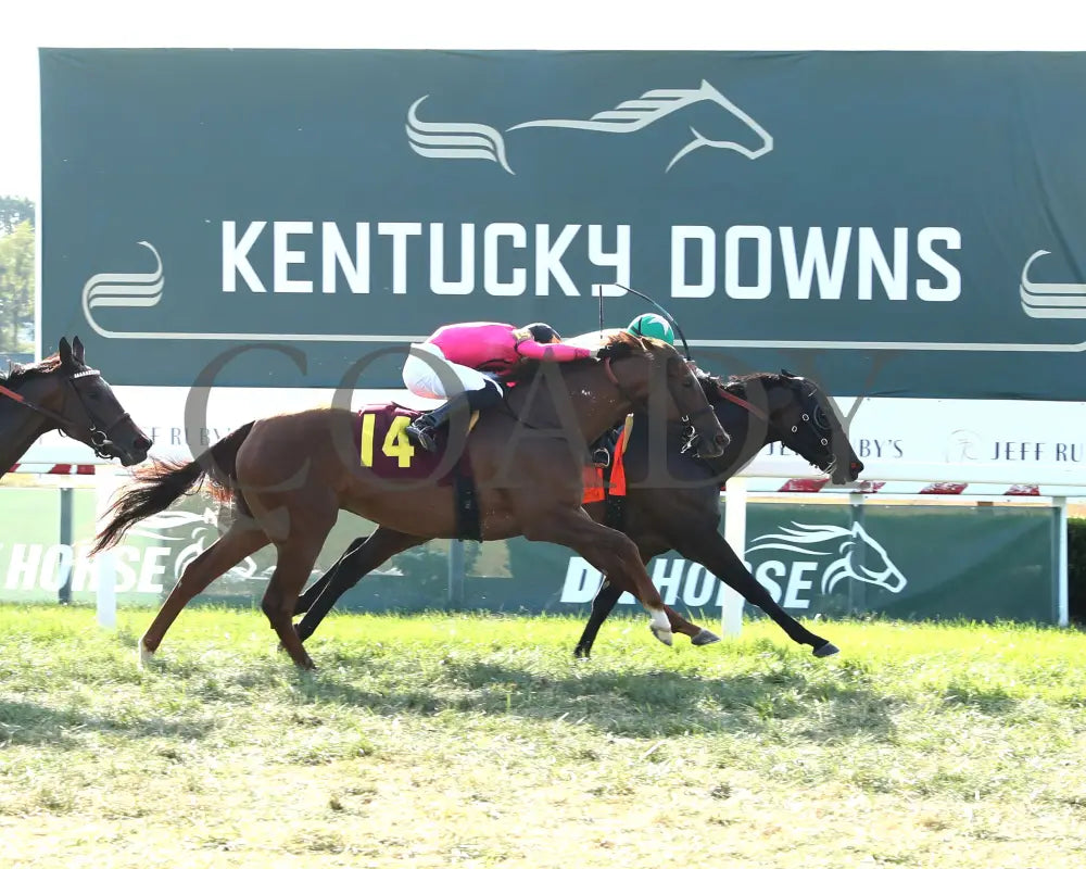 Safeen - The Jeff Ruby One Dreamer 09-05-24 R09 Kd Finish 01 Kentucky Downs