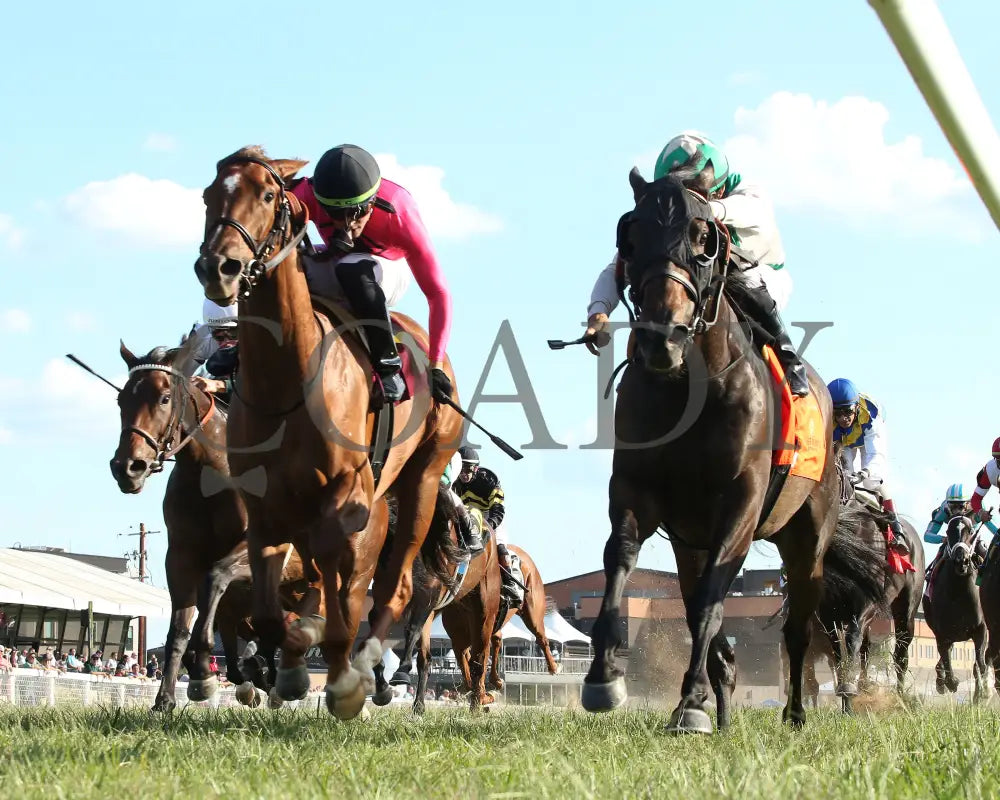 Safeen - The Jeff Ruby One Dreamer 09-05-24 R09 Kd Under Rail 01 Kentucky Downs
