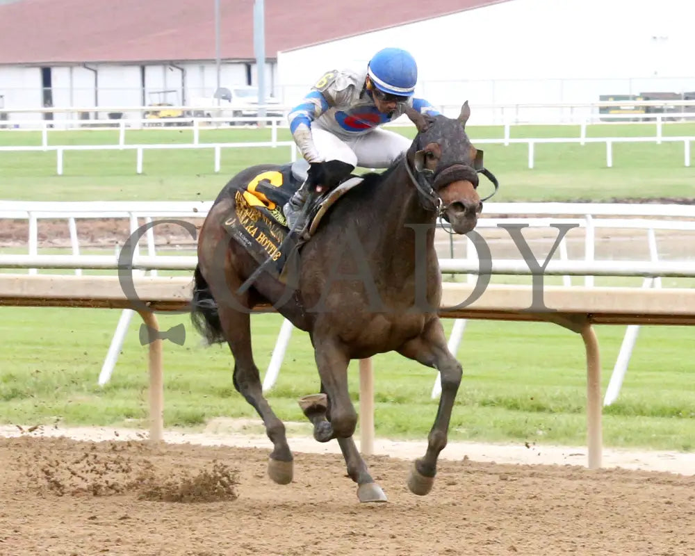 SAHARA HOTTIE - Indiana Stallion - 28th Running - 10-25-25 - R04 - Horseshoe Indiana - Finish 02 - Sammantha Pagels