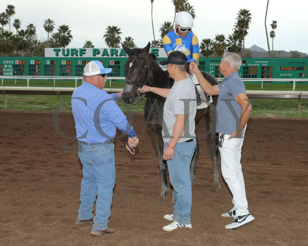 Sakura Blossom - Arizona Oaks 03 - 14 - 24 R06 Turf Paradise Return Shot