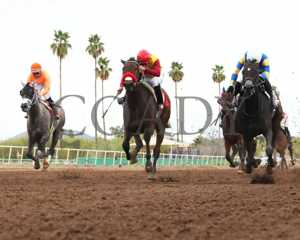 Sakura Blossom - Arizona Oaks 03 - 14 - 24 R06 Turf Paradise Under Rail