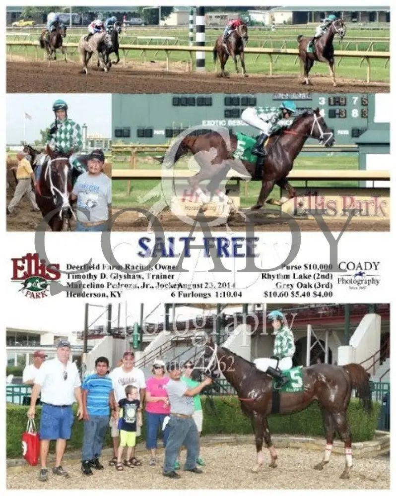 Salt Free - 082314 Race 09 Elp Ellis Park