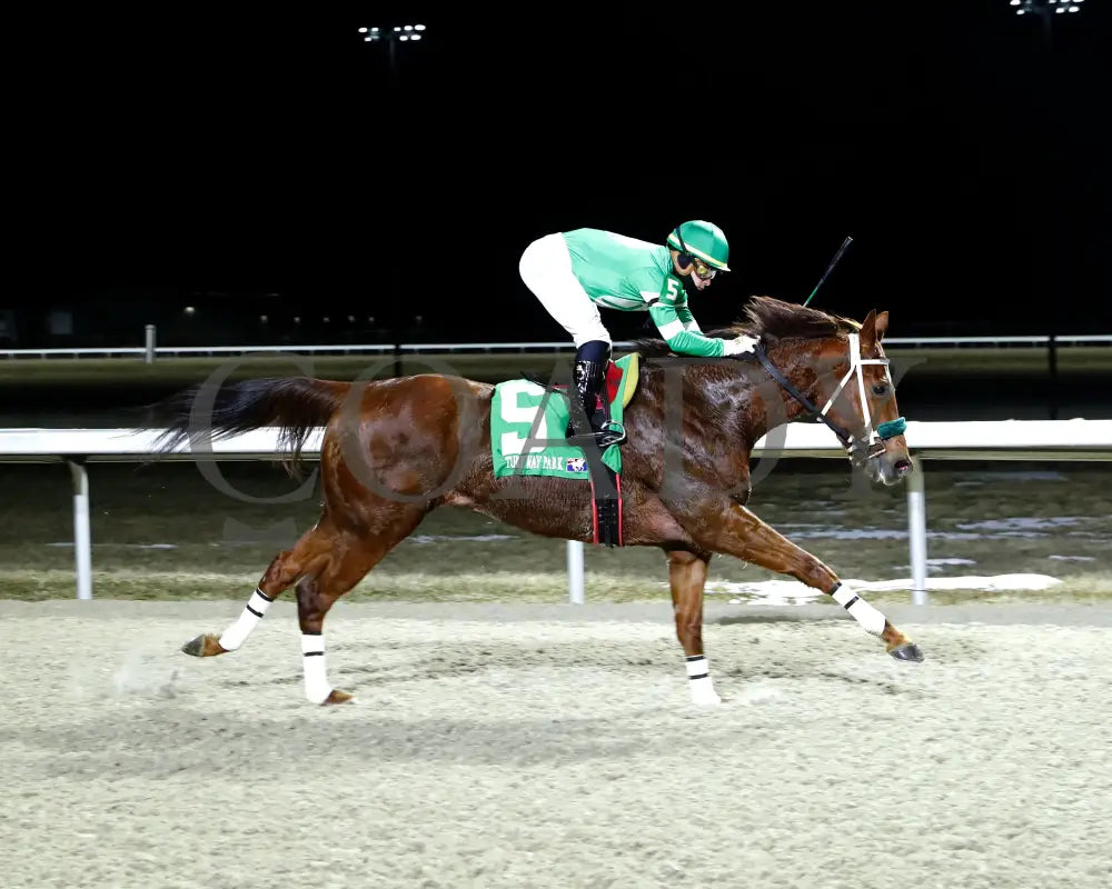 SASSY AND BOLD - 02-23-25 - R08 - TP Turfway Park