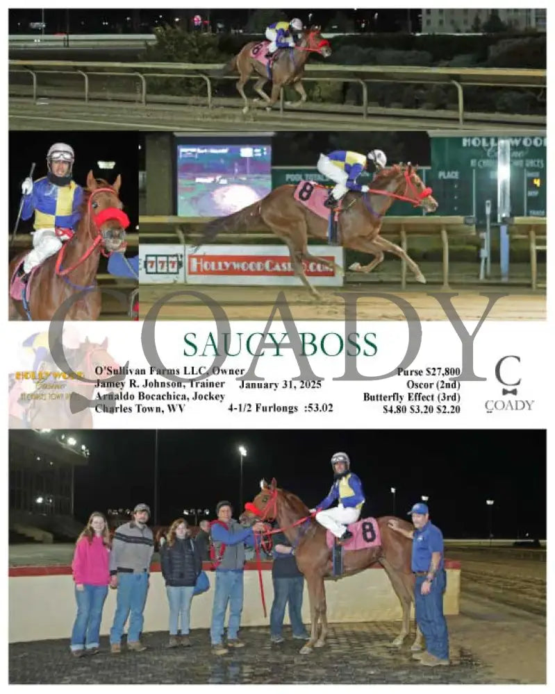 Saucy Boss - 01-31-25 R04 Ct Hollywood Casino At Charles Town Races