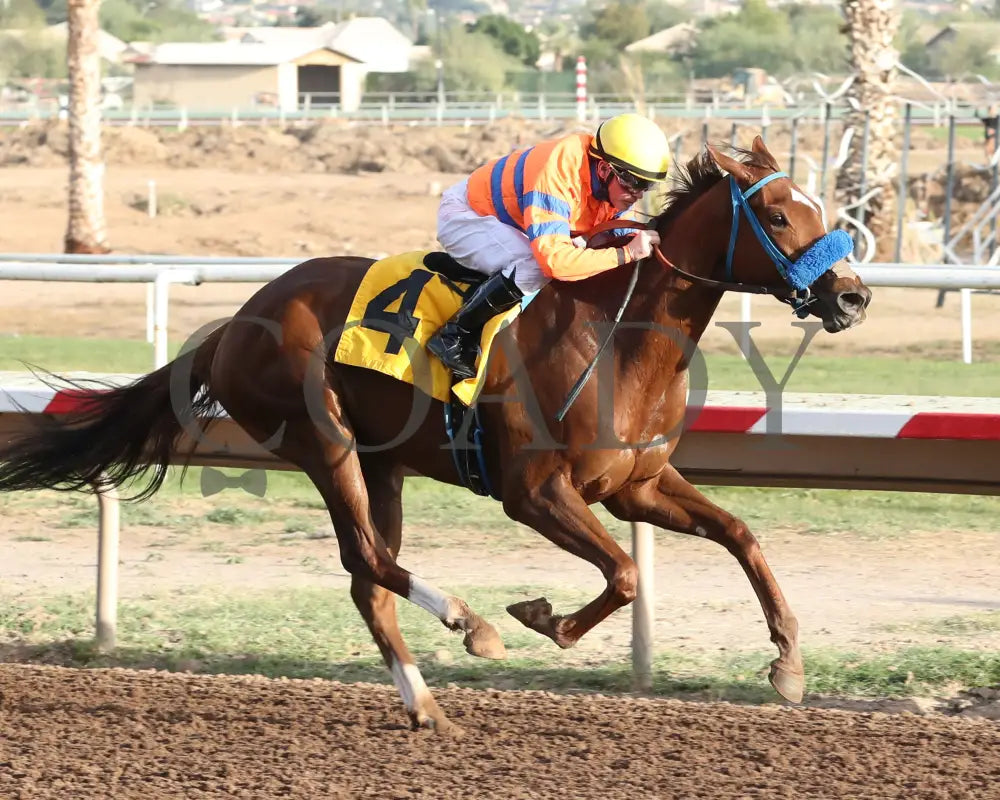 SAYUCAN - Jeff and Jack Coady Sr Overnight Stakes - 11-11-25 - R07 - Turf Paradise - Finish 3 Turf Paradise