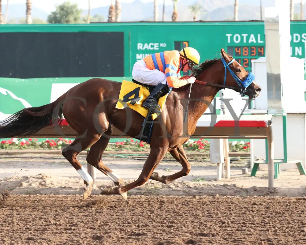 SAYUCAN - Jeff and Jack Coady Sr Overnight Stakes - 11-11-25 - R07 - Turf Paradise - Finish Turf Paradise