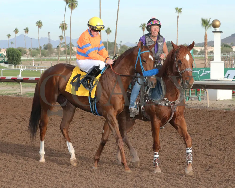 SAYUCAN - Jeff and Jack Coady Sr Overnight Stakes - 11-11-25 - R07 - Turf Paradise - Post Parade Turf Paradise