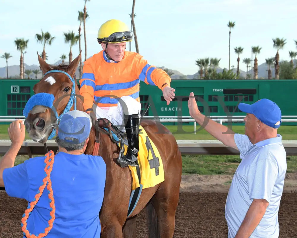 SAYUCAN - Jeff and Jack Coady Sr Overnight Stakes - 11-11-25 - R07 - Turf Paradise - Return Shot Turf Paradise