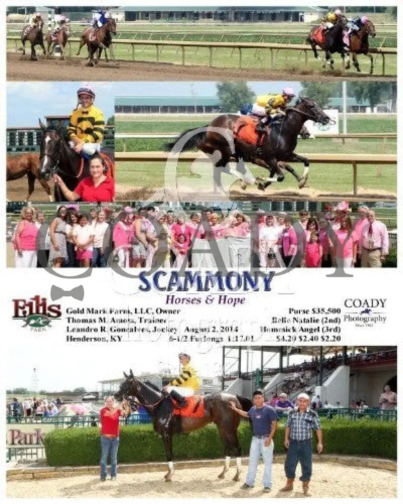 Scammony - 080214 Race 05 Elp Ellis Park