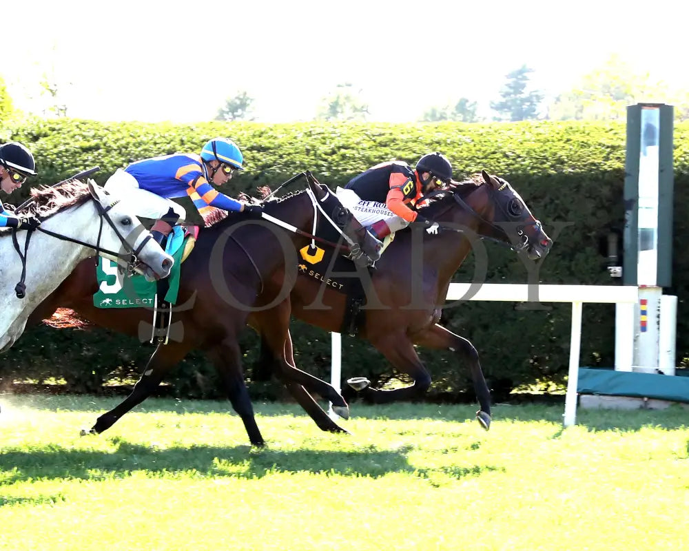 SCHWARZENEGGER - 100525 - Race 08 - KEE - Finish 01 Keeneland