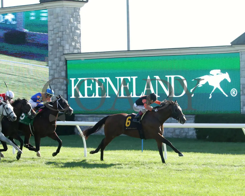 SCHWARZENEGGER - 100525 - Race 08 - KEE - Finish 04 Keeneland