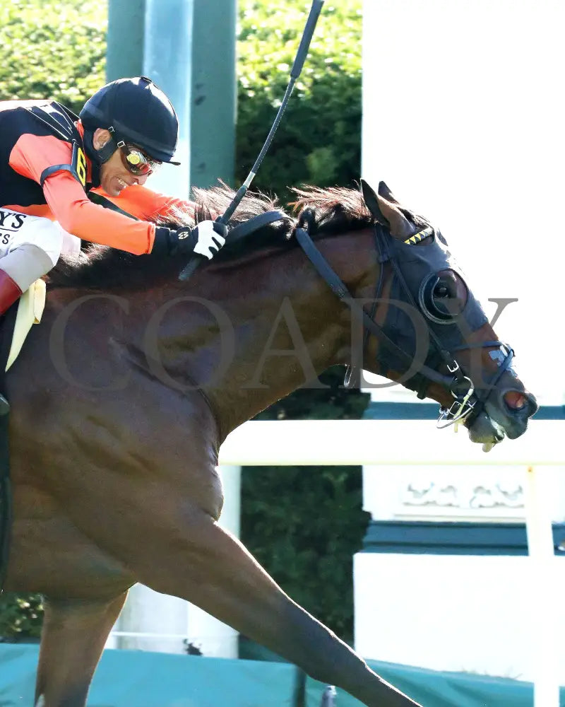 SCHWARZENEGGER - 100525 - Race 08 - KEE - Finish 05 Keeneland