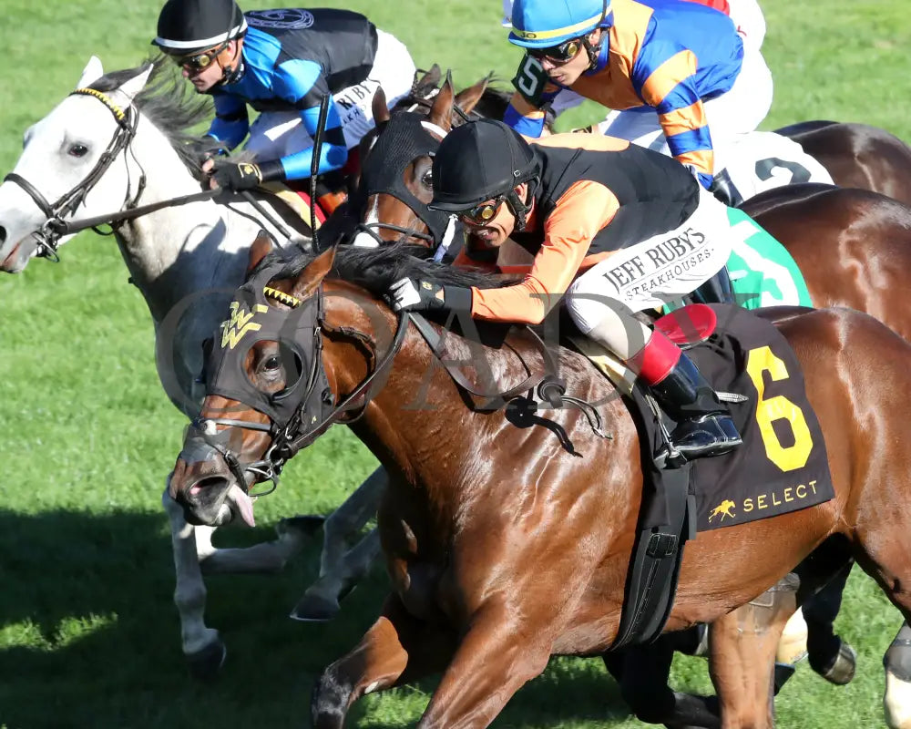SCHWARZENEGGER - 100525 - Race 08 - KEE - Inside Finish 02 Keeneland