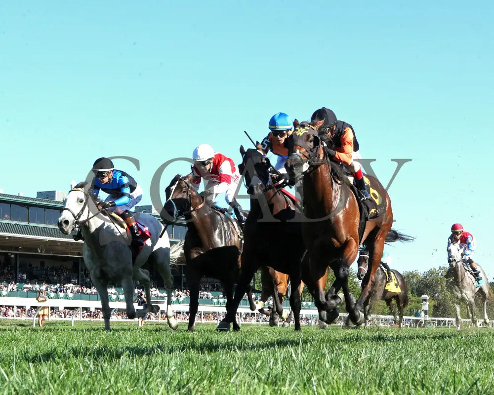 SCHWARZENEGGER - 100525 - Race 08 - KEE - Under Rail 01 Keeneland