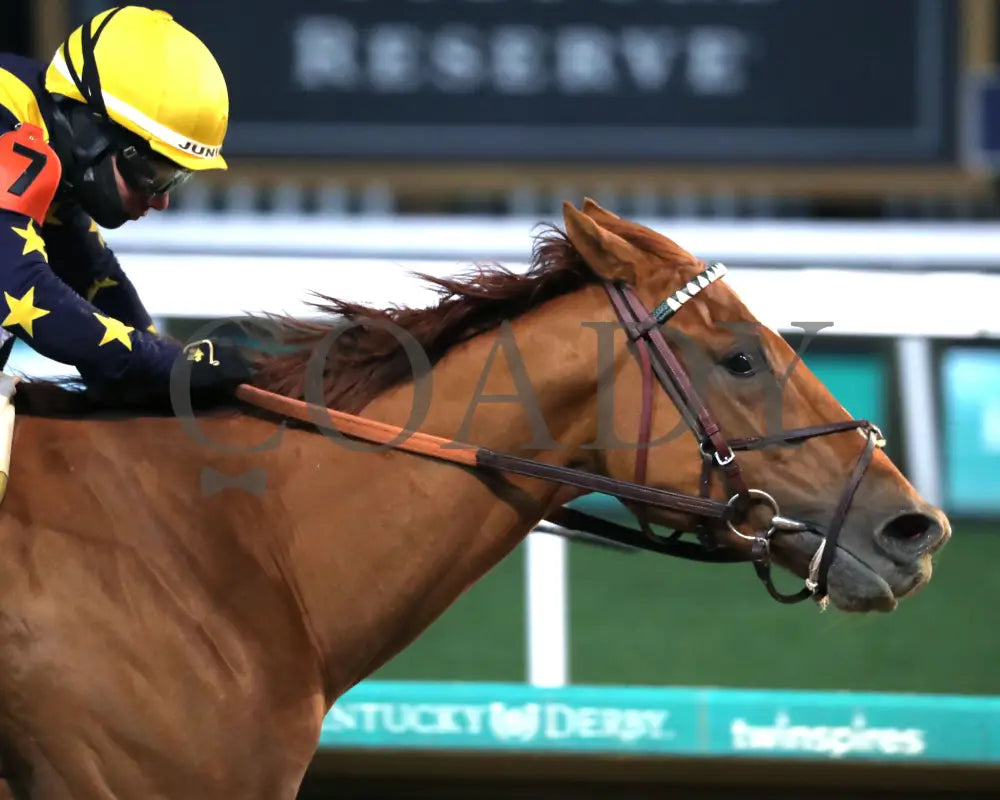 Scotland - The 1St Running Of The Cherokee Mile 12-01-24 R11 Cd Tight Finish 01 Churchill Downs