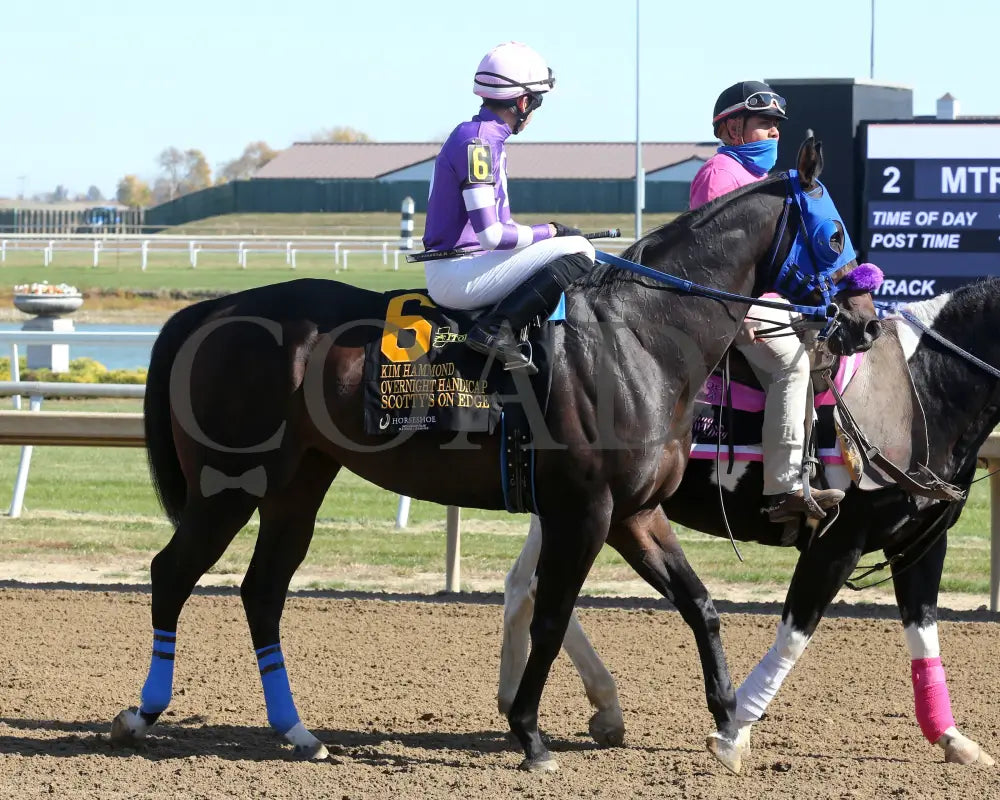 Scotty’s On Edge - Kim Hammond Overnight Handicap 10-26-24 R03 Horseshoe Indiana Post Parade 01