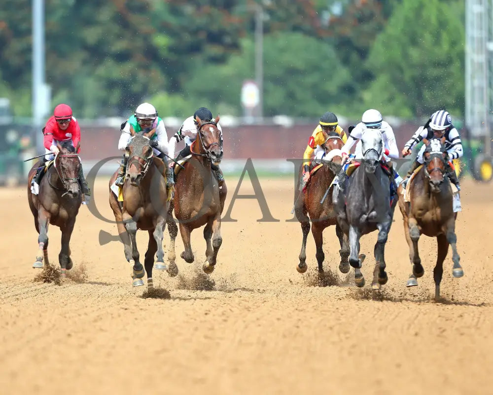 Scylla - The Fasig-Tipton Fleur De Lis G2 06-29-24 R08 Cd Head On 01 Churchill Downs