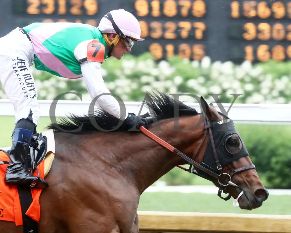 Scylla - The Shawnee G3 5Th Running 06-01-24 R08 Cd Gallop Out 01 Churchill Downs
