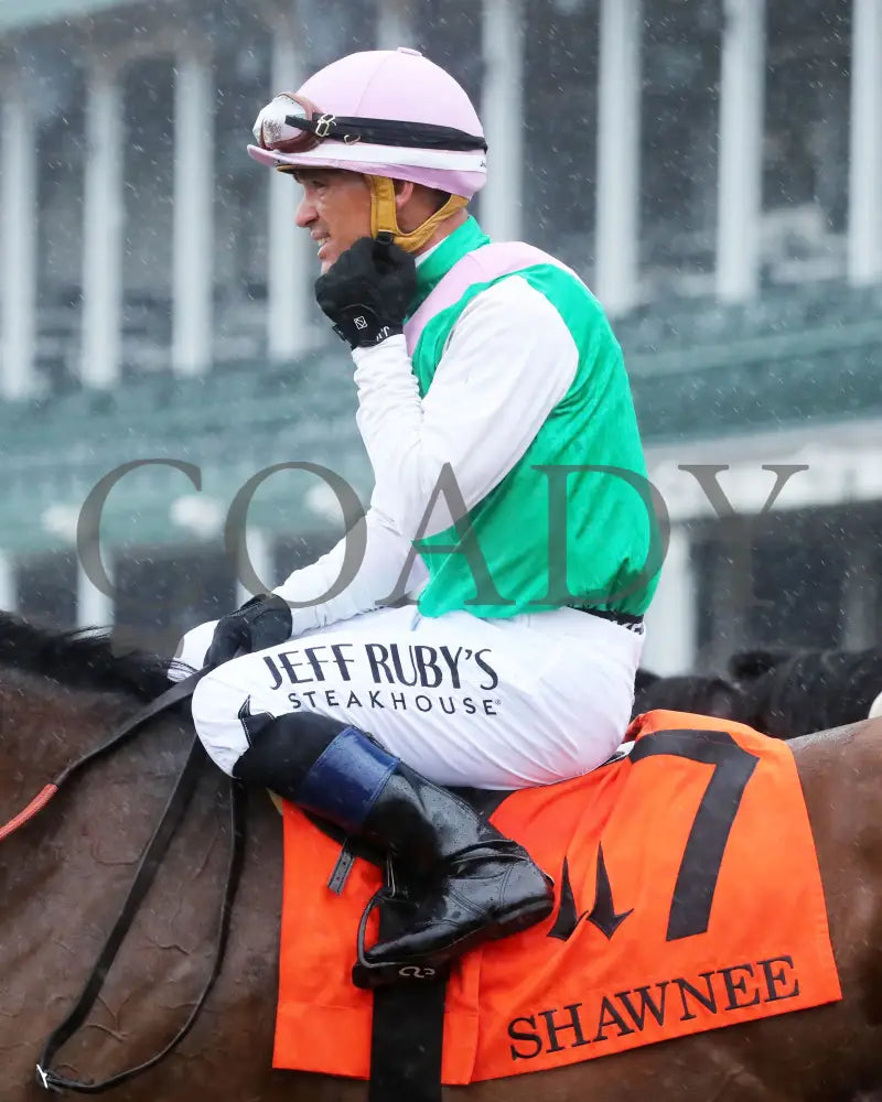 Scylla - The Shawnee G3 5Th Running 06-01-24 R08 Cd Javier Castellano 01 Churchill Downs