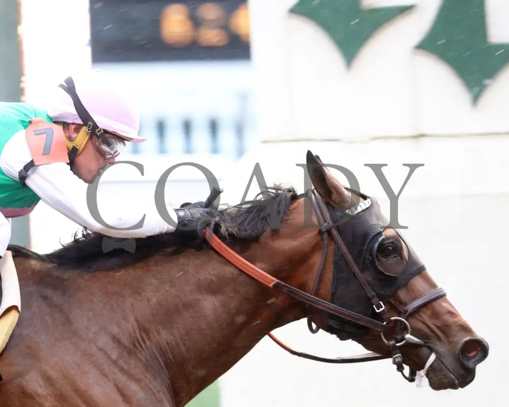 Scylla - The Shawnee G3 5Th Running 06-01-24 R08 Cd Tight Finish 01 Churchill Downs