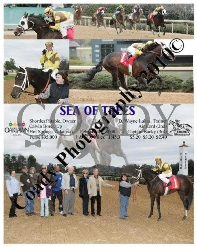 Sea Of Trees - 2 17 2008 Oaklawn Park