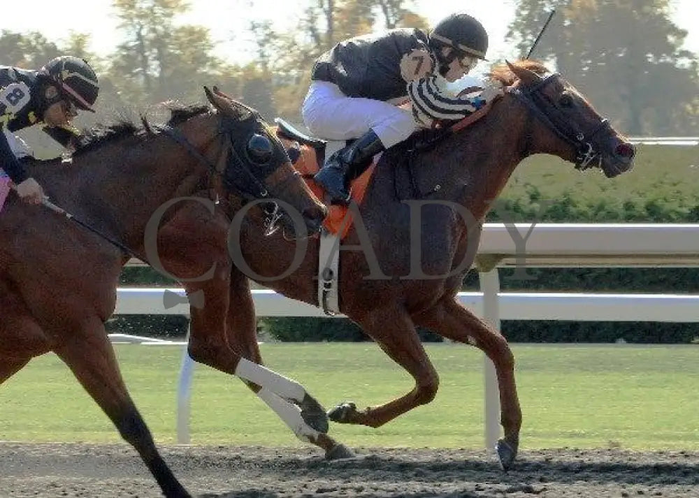 Second Street City - Proof 2 100711 Race 04 Keeneland