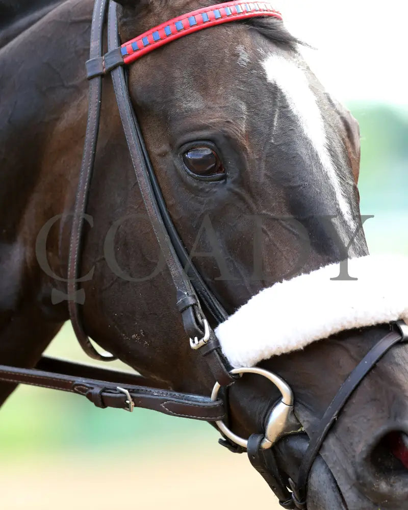 Secret Message - Old Forester Mint Julep G3 44Th Running 05-30-20 R11 Cd Come Back 04 Churchill