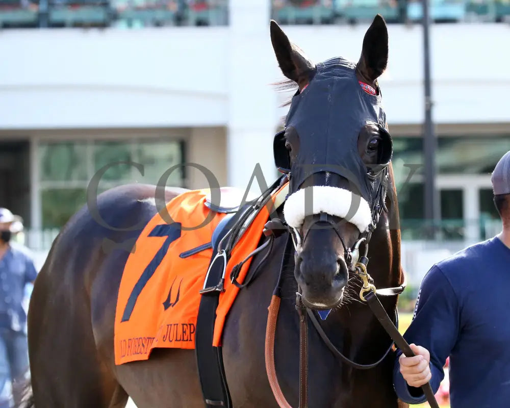 Secret Message - Old Forester Mint Julep G3 44Th Running 05-30-20 R11 Cd Paddock 01 Churchill Downs
