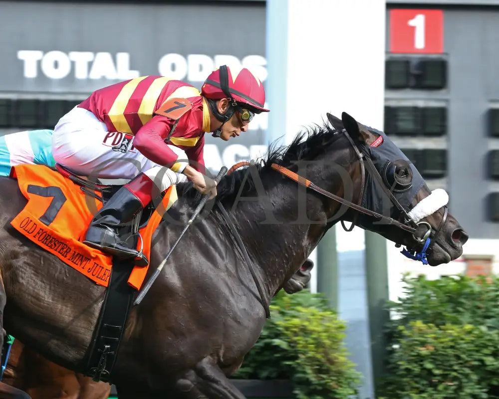 Secret Message - Old Forester Mint Julep G3 44Th Running 05-30-20 R11 Cd Tight Finish 01 Churchill