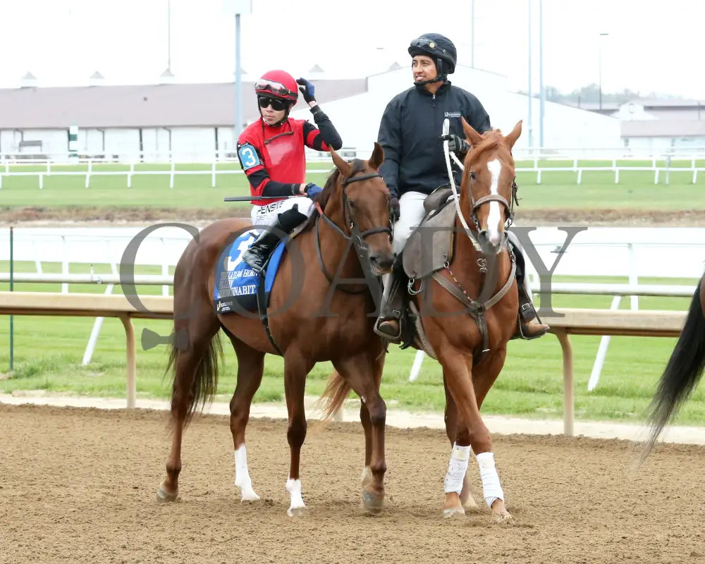 SEEYOUINABIT - Lady Fog Horn - 6th Running - 10-25-25 - R03 - Horseshoe Indiana - Post Parade 01 - Devin Hall Indiana