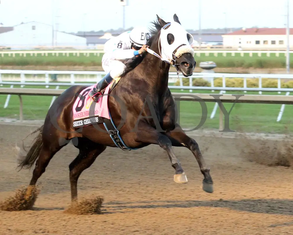 Seize Greatness - 10-09-24 R10 Horseshoe Indiana Finish 02 Ronald Hisby Grand