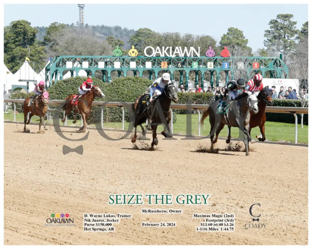 Seize The Grey - 02-24-24 R01 Oaklawn Park Action 3