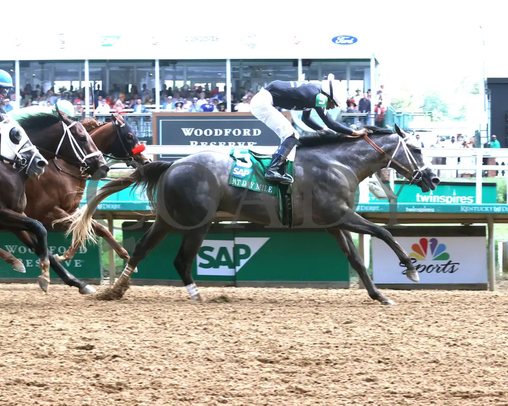 Seize The Grey - The Pat Day Mile G2 100Th Running 05-04-24 R08 Churchill Downs Finish 01