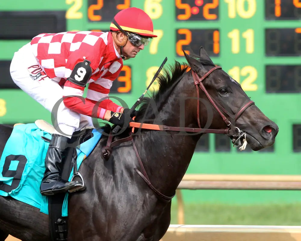 Serengeti Empress - 081918 Race 08 Elp Finish 03 Ellis Park