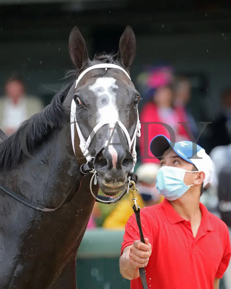 Set Piece - The Opening Verse Stakes 16Th Running 04-29-21 R08 Cd Come Back 04 Churchill Downs